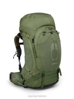 Osprey TPDI14 mochila verde mítico hombres atmos ag 65 mochilero