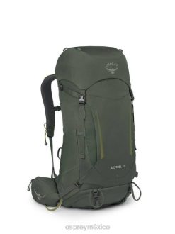 Osprey TPDI224 mochila bonsái verde unisexo cernícalo 38 mochilero