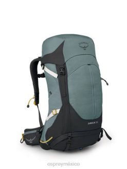 Osprey TPDI295 mochila verde suculento mujer sirrus 36 mochilero ligero | caminata de un día