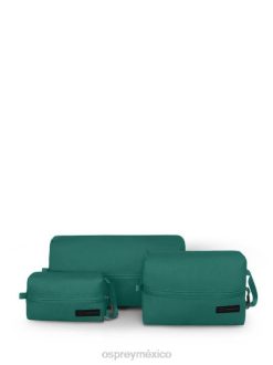 Osprey TPDI702 accesorio selva verde unisexo Juego de saco con cremallera Rests para todos los días y viajes diarios