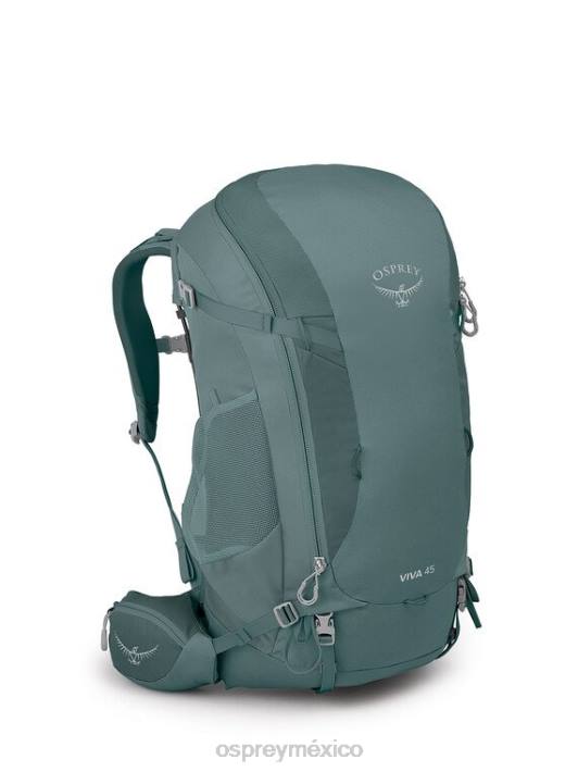 Osprey TPDI43 mochila verde suculento mujer viva 45 mochilero