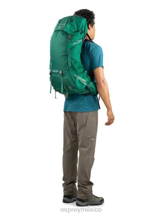 Osprey TPDI96 mochila pato verde hombres torre 50 mochilero