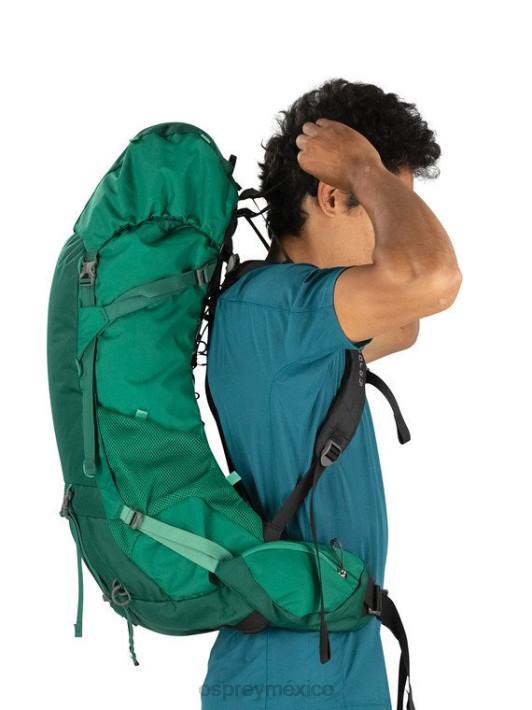 Osprey TPDI96 mochila pato verde hombres torre 50 mochilero