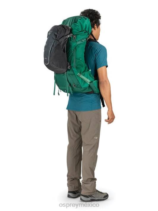 Osprey TPDI96 mochila pato verde hombres torre 50 mochilero